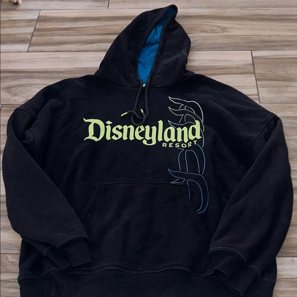 Disney Black and Blue Men's Hoodie
